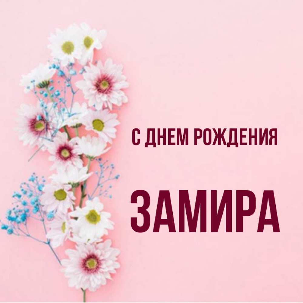 С днем рождения замира картинки