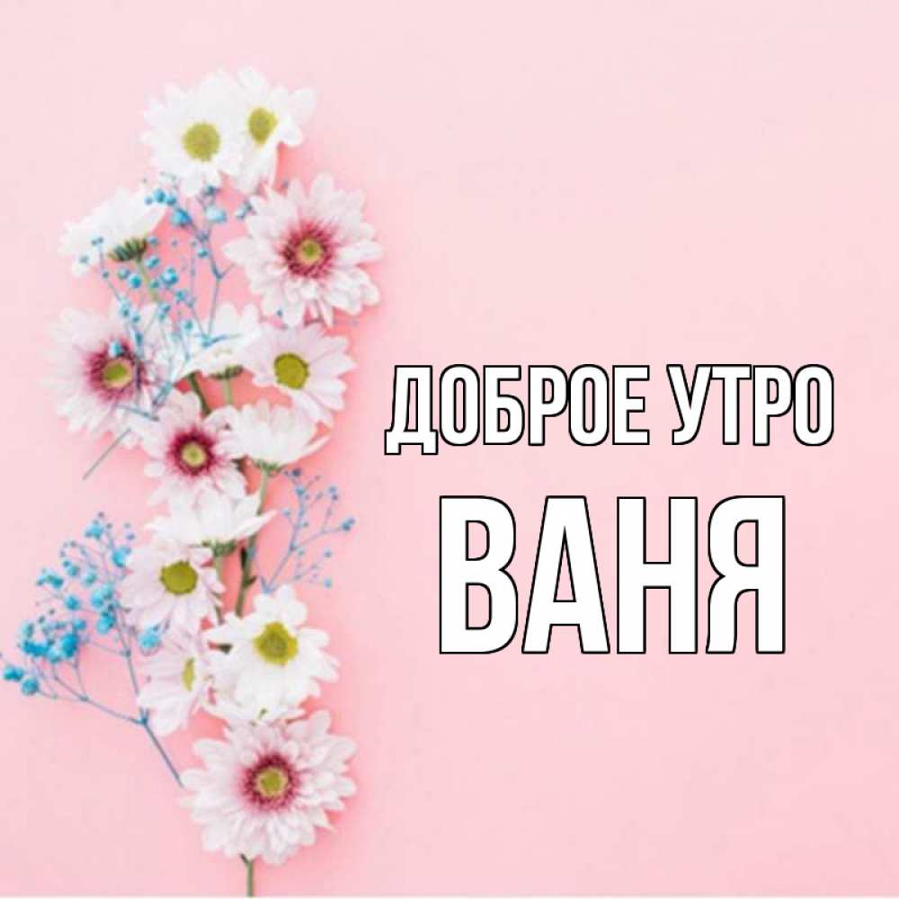 С добрым утром ваня картинки