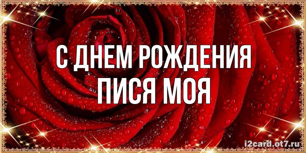 Открытка на каждый день с именем, пися-моя С днем рождения роса на розе блестящая в лучах солнца Прикольная открытка с пожеланием онлайн скачать бесплатно 