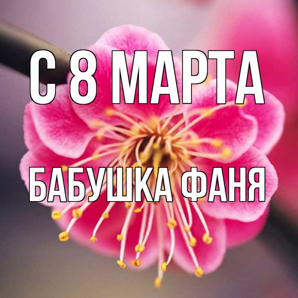 Открытка на каждый день с именем, Бабушка-Фаня С 8 МАРТА цветы Прикольная открытка с пожеланием онлайн скачать бесплатно 