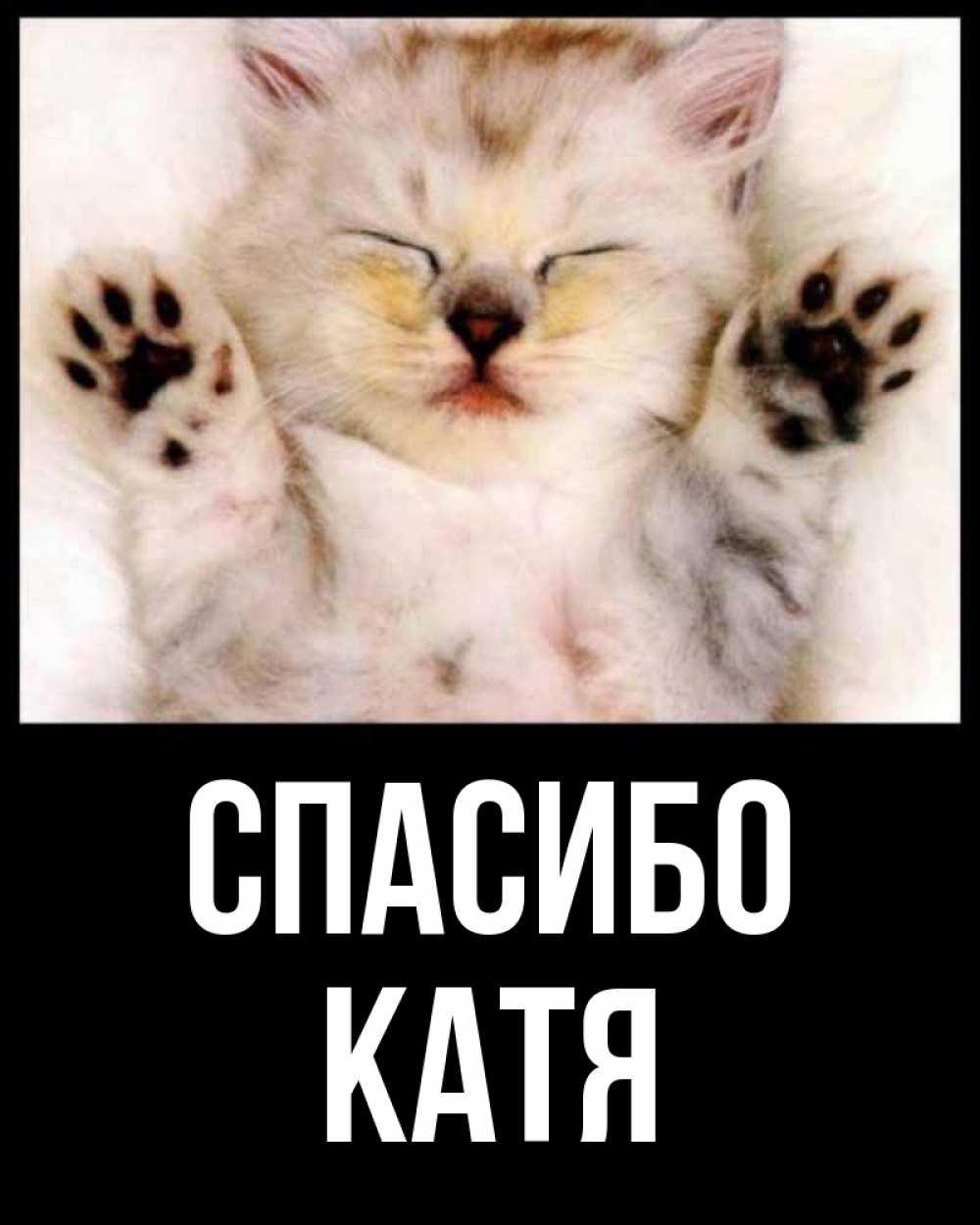 Благодарность екатерине. Спасибо Катя. Спасибо Катя картинки. Катя спасибо большое. Катюша котенок.