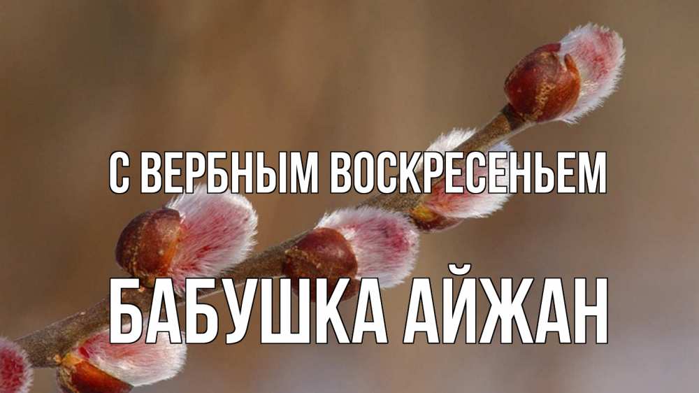 Открытка на каждый день с именем, Бабушка-Айжан С вербным воскресеньем верба Прикольная открытка с пожеланием онлайн скачать бесплатно 