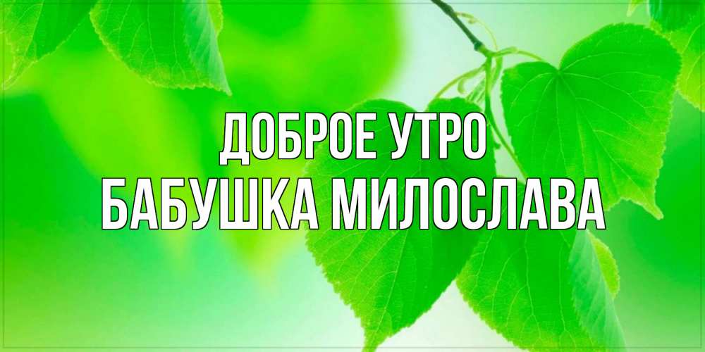 Открытка на каждый день с именем, Бабушка-Милослава Доброе утро доброе утро с березовыми листьями Прикольная открытка с пожеланием онлайн скачать бесплатно 