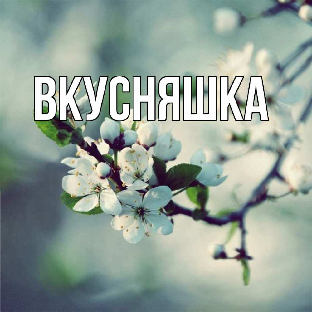 Открытка на каждый день с именем, Вкусняшка Главная яблоня в цвету 1 Прикольная открытка с пожеланием онлайн скачать бесплатно 