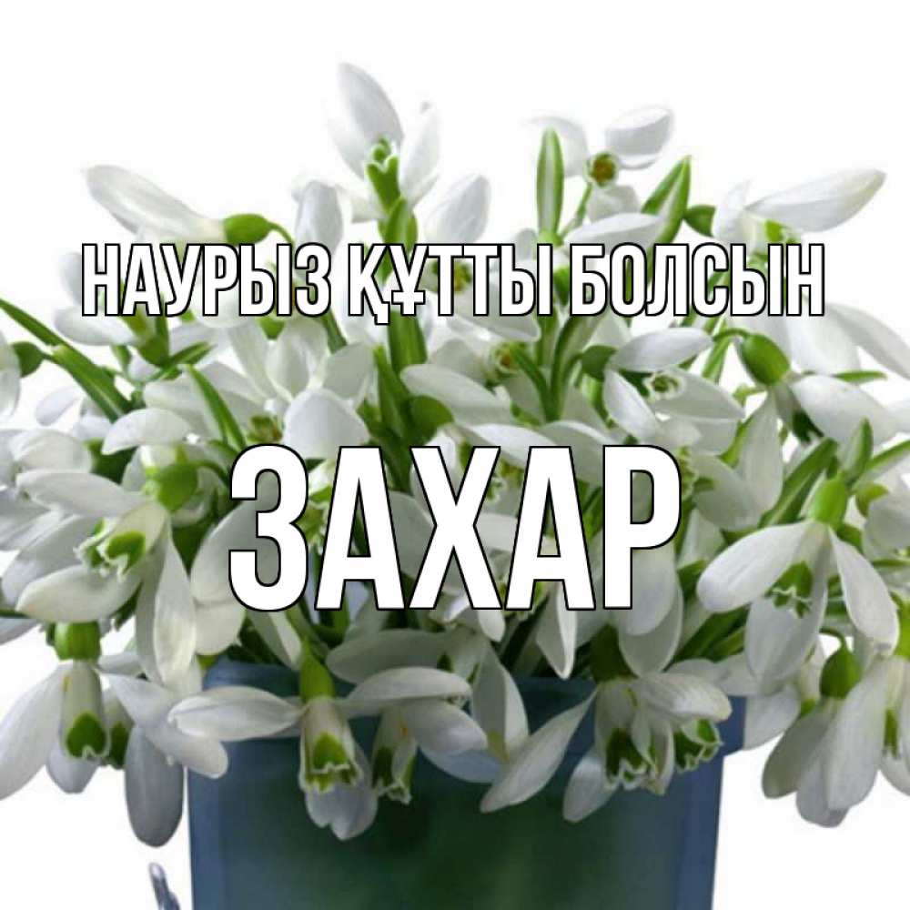 Открытка на каждый день с именем, Захар Наурыз құтты болсын цветы к наурызу Прикольная открытка с пожеланием онлайн скачать бесплатно 