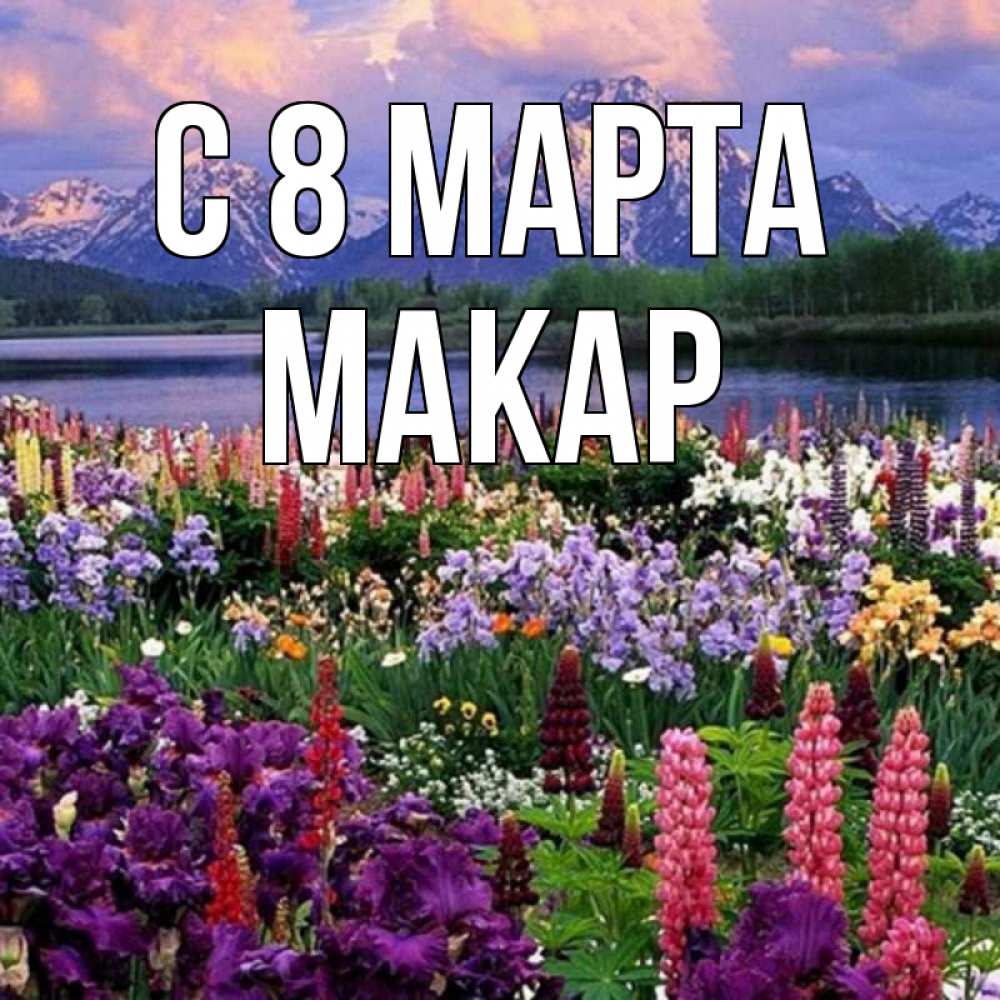 Открытка на каждый день с именем, Макар С 8 МАРТА международный женский день Прикольная открытка с пожеланием онлайн скачать бесплатно 