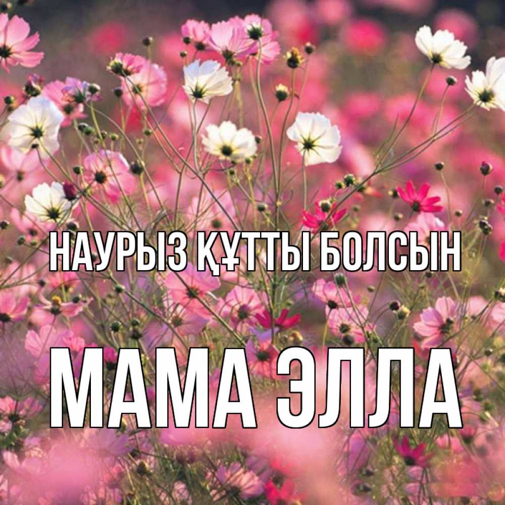 Открытка на каждый день с именем, Мама-Элла Наурыз құтты болсын красиво 1 Прикольная открытка с пожеланием онлайн скачать бесплатно 