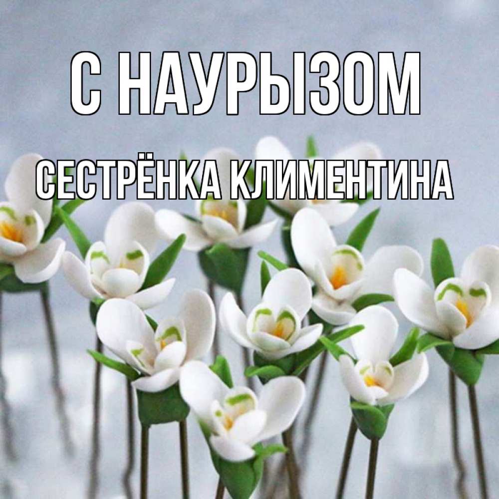 Открытка на каждый день с именем, Сестрёнка-Климентина С наурызом весенние цветы Прикольная открытка с пожеланием онлайн скачать бесплатно 