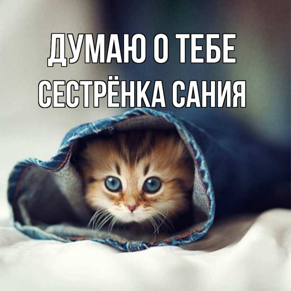 Открытка на каждый день с именем, Сестрёнка-Сания Думаю о тебе мне без тебя плохо Прикольная открытка с пожеланием онлайн скачать бесплатно 