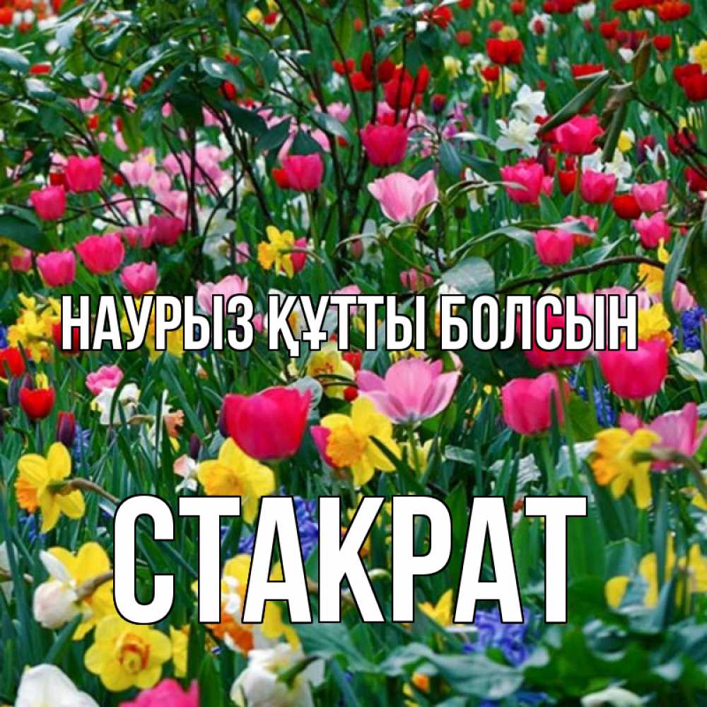 Открытка на каждый день с именем, Стакрат Наурыз құтты болсын с наурызом поздравления для женщины Прикольная открытка с пожеланием онлайн скачать бесплатно 