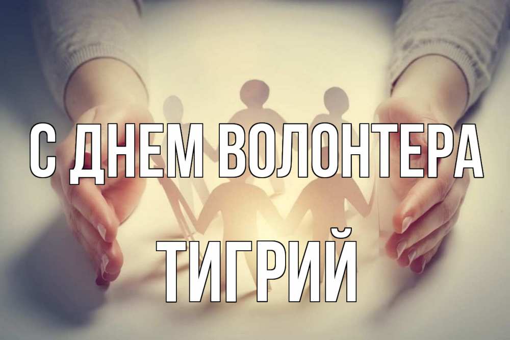Открытка на каждый день с именем, Тигрий С днем волонтера С днем волонтера Прикольная открытка с пожеланием онлайн скачать бесплатно 