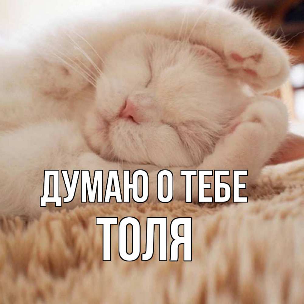 Открытка на каждый день с именем, Толя Думаю о тебе для любимой девушки милота Прикольная открытка с пожеланием онлайн скачать бесплатно 