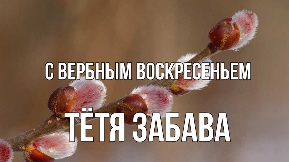 Открытка на каждый день с именем, Тётя-Забава С вербным воскресеньем верба Прикольная открытка с пожеланием онлайн скачать бесплатно 