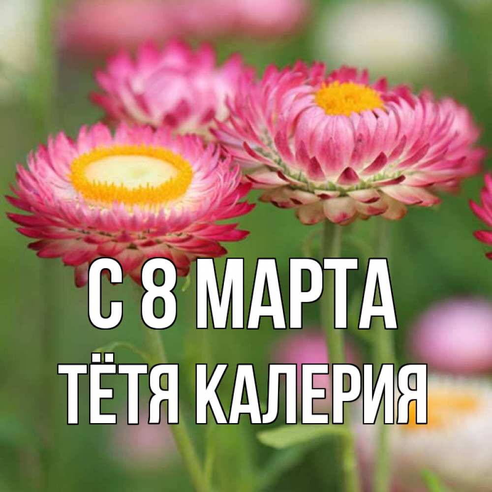 Открытка на каждый день с именем, Тётя-Калерия С 8 МАРТА подарок на международный женский день Прикольная открытка с пожеланием онлайн скачать бесплатно 
