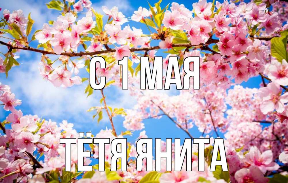 Открытка на каждый день с именем, Тётя-Янита С 1 мая С 1 мая Прикольная открытка с пожеланием онлайн скачать бесплатно 