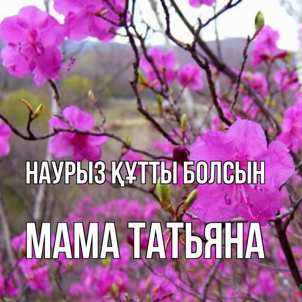 Открытка на каждый день с именем, Мама-Татьяна Наурыз құтты болсын наурыз мейрамы кутты болсын Прикольная открытка с пожеланием онлайн скачать бесплатно 