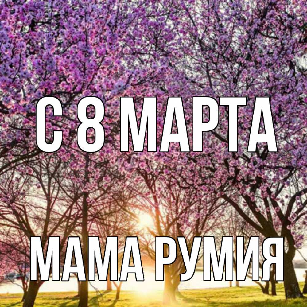Открытка на каждый день с именем, Мама-Румия С 8 МАРТА международный женский день Прикольная открытка с пожеланием онлайн скачать бесплатно 