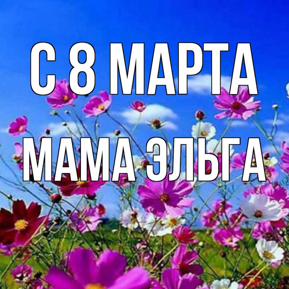 Открытка на каждый день с именем, Мама-Эльга С 8 марта цветы Прикольная открытка с пожеланием онлайн скачать бесплатно 