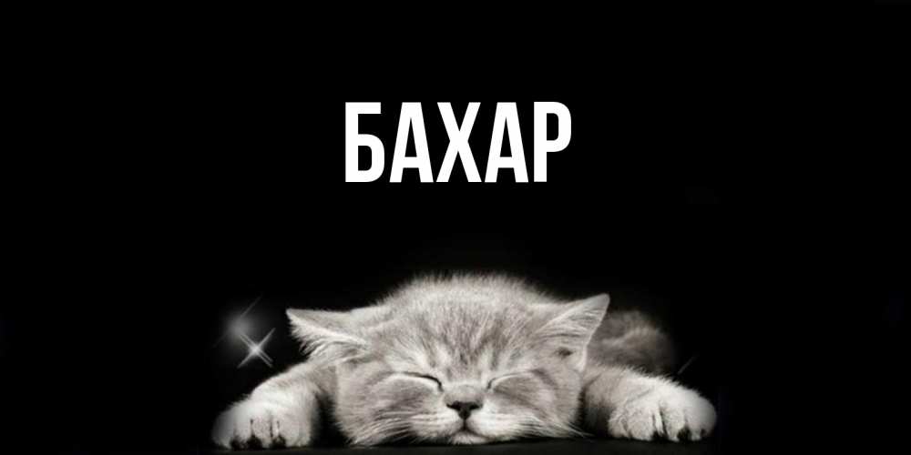 Открытка на каждый день с именем, Бахар Главная спящий котик Прикольная открытка с пожеланием онлайн скачать бесплатно 