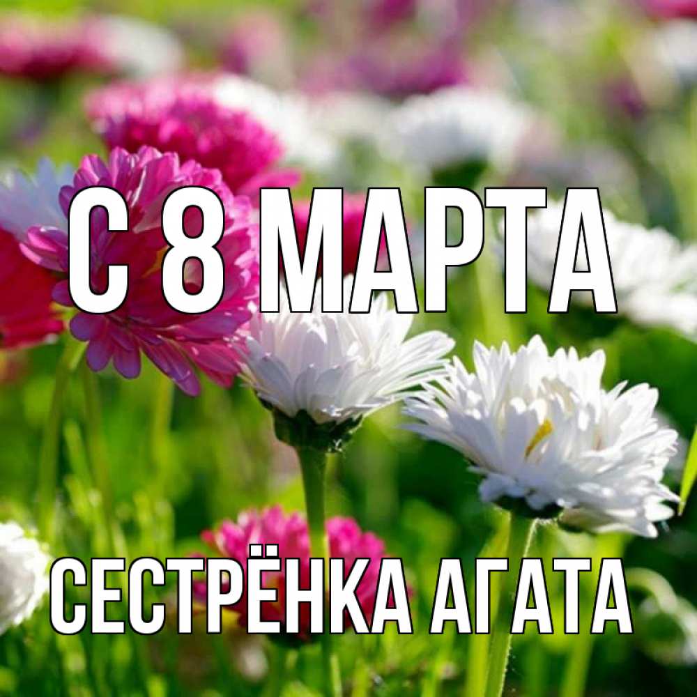Открытка на каждый день с именем, Сестрёнка-Агата С 8 марта международный женский день 1 Прикольная открытка с пожеланием онлайн скачать бесплатно 