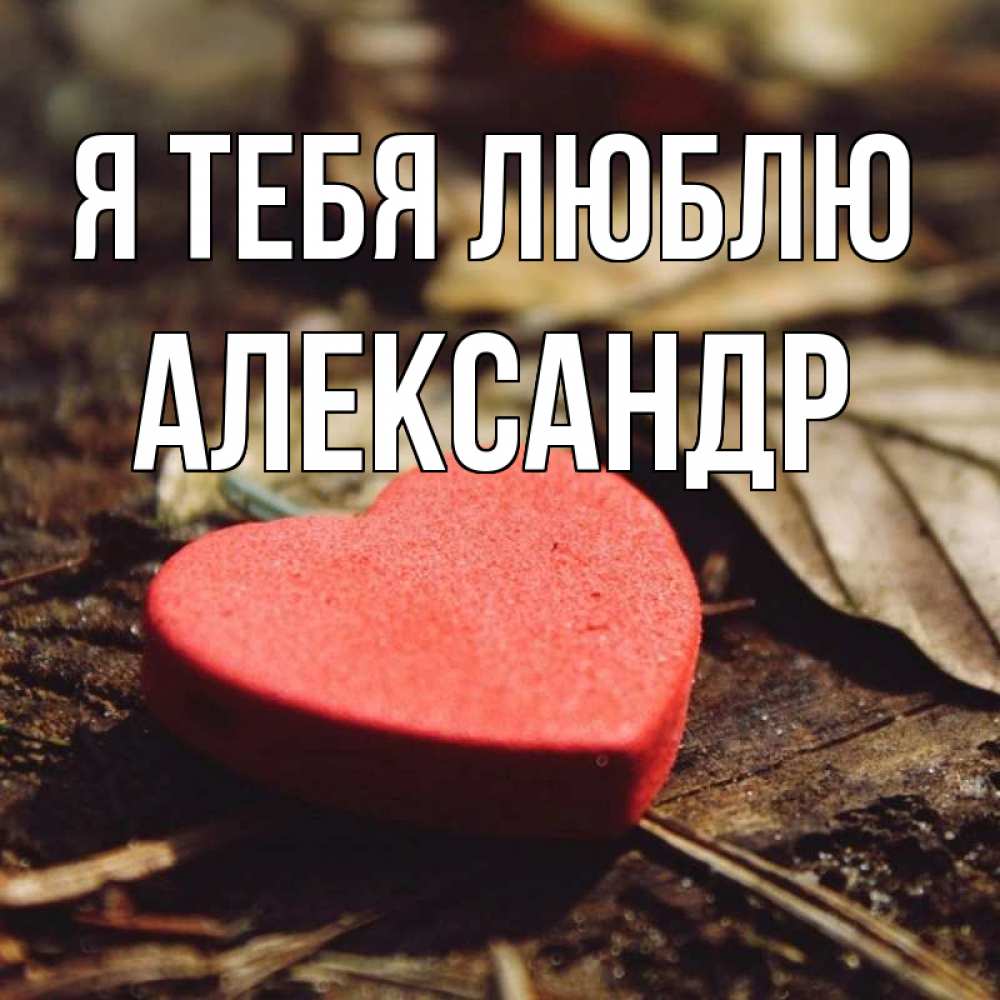 Открытка на каждый день с именем, Александр Я тебя люблю листья деревье 4 Прикольная открытка с пожеланием онлайн скачать бесплатно 