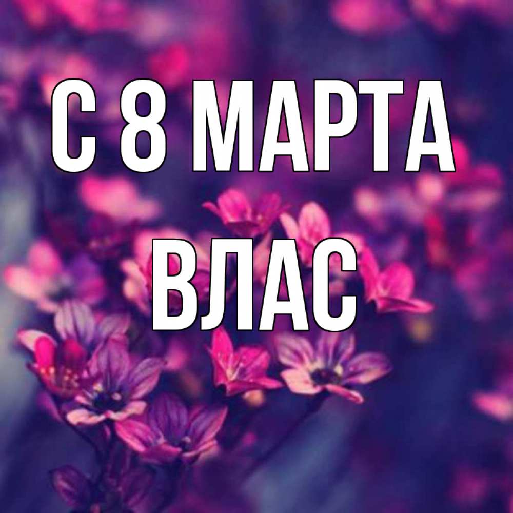 Картинка С 8 марта, Влас