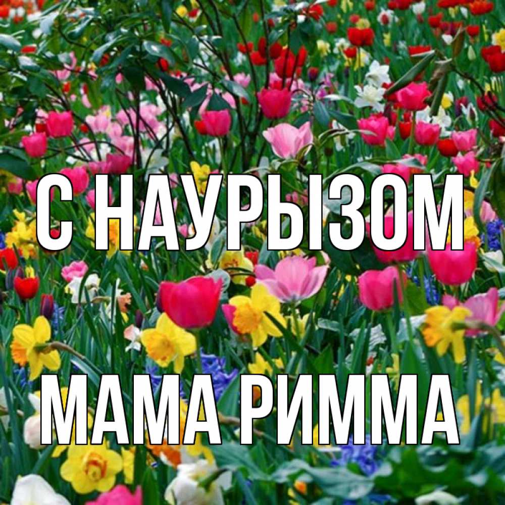 Открытка на каждый день с именем, Мама-Римма С наурызом с наурызом праздником весны поздравления для женщины Прикольная открытка с пожеланием онлайн скачать бесплатно 