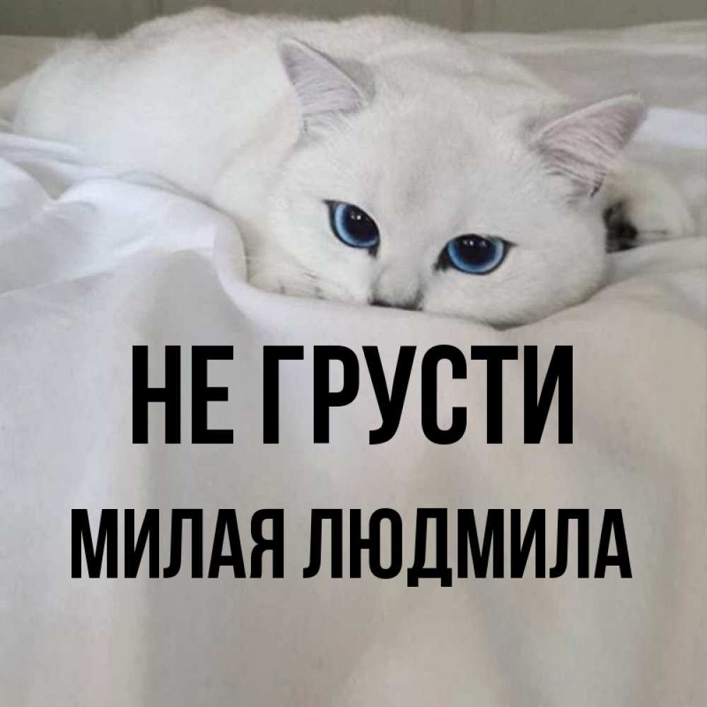 Мило не грусти