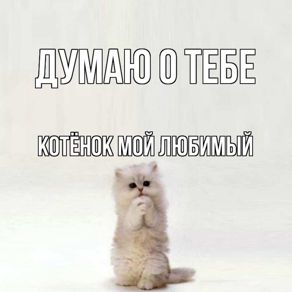 Создать, открытки я скучаю по тебе любимая моя девочка спинку тебе поглажу