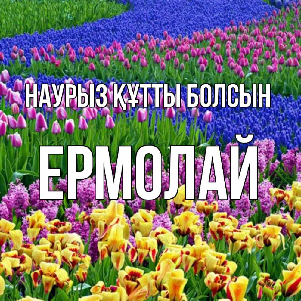 Открытка на каждый день с именем, Ермолай Наурыз құтты болсын цветы Прикольная открытка с пожеланием онлайн скачать бесплатно 
