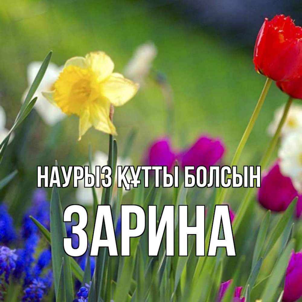 Открытка на каждый день с именем, Зарина Наурыз құтты болсын наурыз  3 открытки Прикольная открытка с пожеланием онлайн скачать бесплатно 