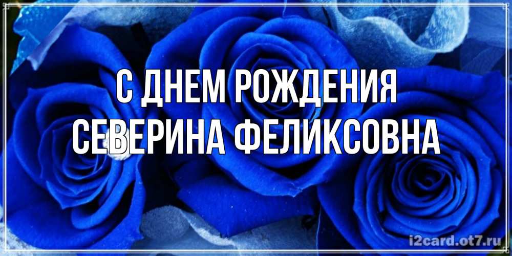 Картинка С днем рождения, Северина Феликсовна
