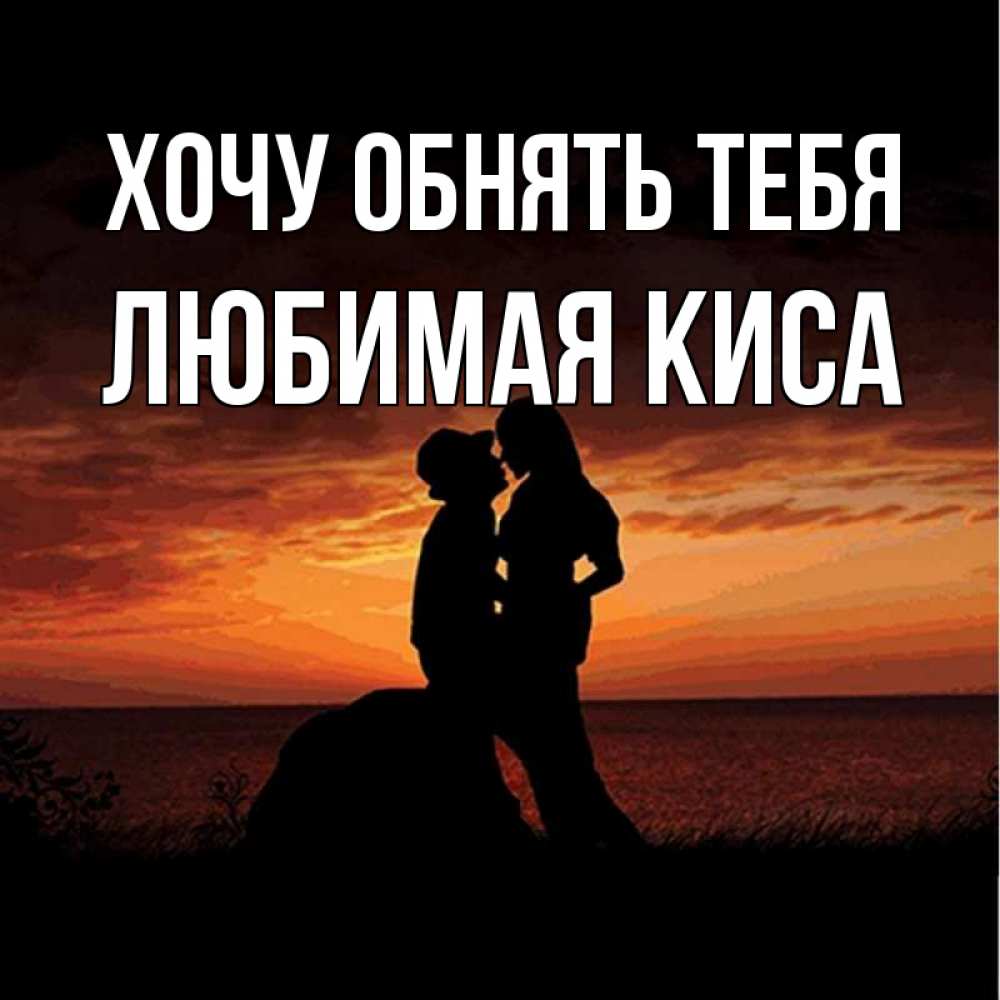 янгиликлари, жа?он картинка любимая киса сих