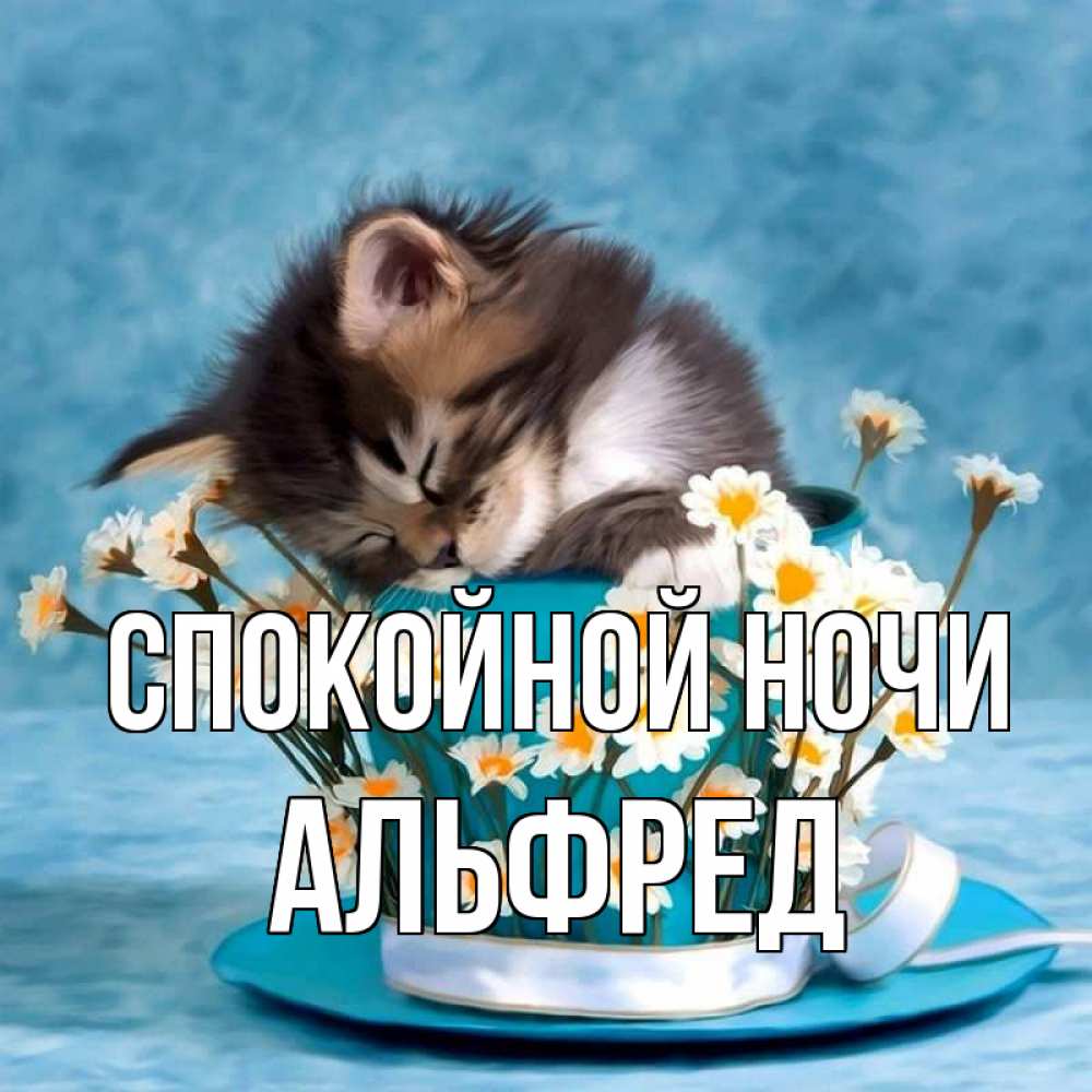 Открытка на каждый день с именем, Альфред Спокойной ночи котенок спит в кружке с блюдцем Прикольная открытка с пожеланием онлайн скачать бесплатно 