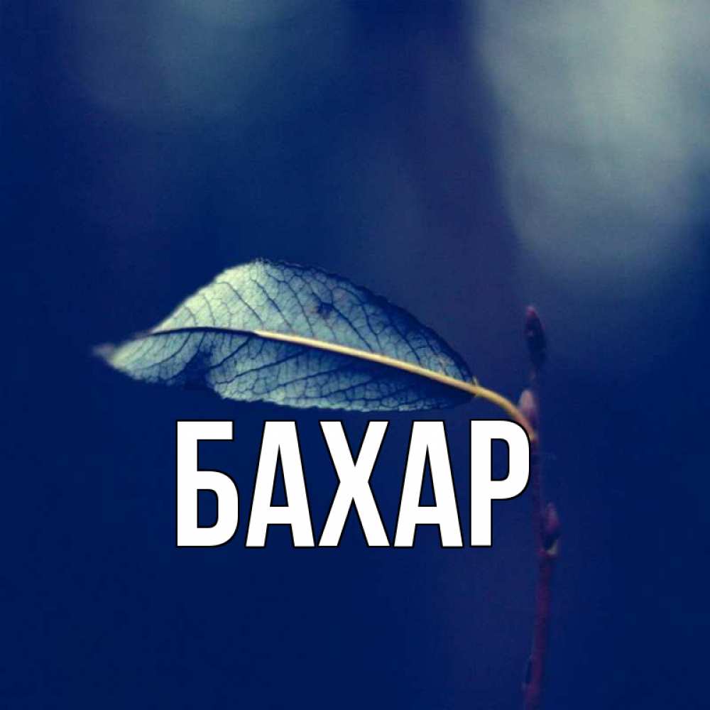 Открытка на каждый день с именем, Бахар Главная одна ветка 1 Прикольная открытка с пожеланием онлайн скачать бесплатно 