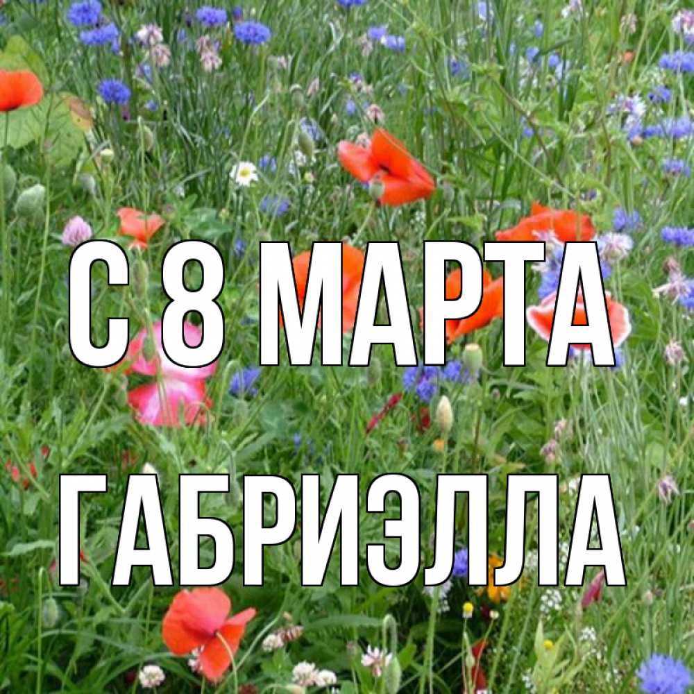Открытка на каждый день с именем, Габриэлла С 8 МАРТА международный женский день 4 Прикольная открытка с пожеланием онлайн скачать бесплатно 