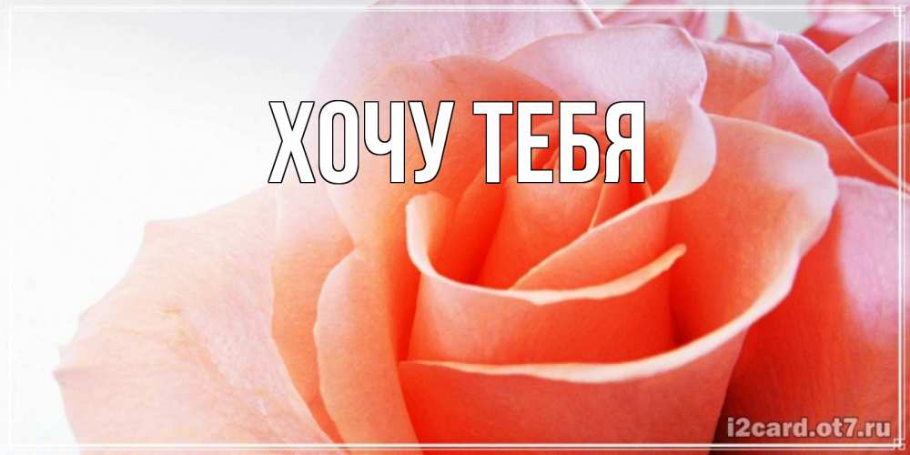 Открытка на каждый день с именем, Хочу-тебя Главная открытка на день Святого Валентина с розовой розой Прикольная открытка с пожеланием онлайн скачать бесплатно 