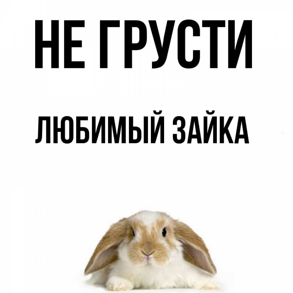 Картинки не грусти зайчик