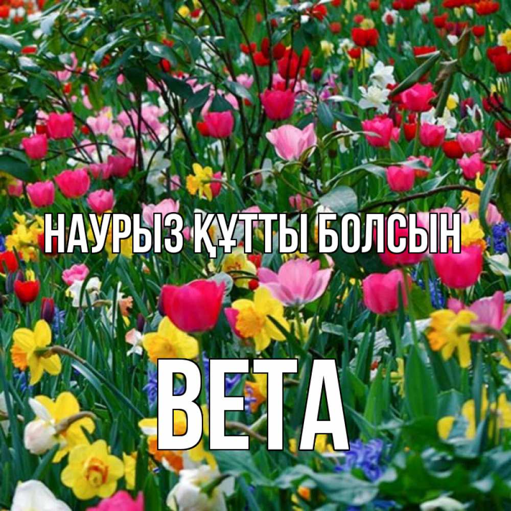 Открытка на каждый день с именем, Вета Наурыз құтты болсын с наурызом поздравления для женщины Прикольная открытка с пожеланием онлайн скачать бесплатно 