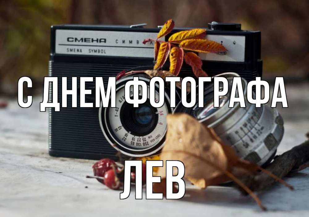 Открытка на каждый день с именем, Лев С днем фотографа с днем фотографа Прикольная открытка с пожеланием онлайн скачать бесплатно 