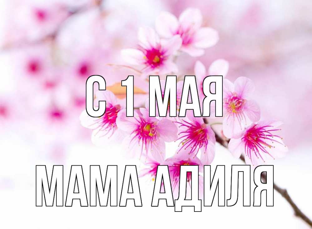 Открытка на каждый день с именем, Мама-Адиля С 1 мая С 1 мая 2 Прикольная открытка с пожеланием онлайн скачать бесплатно 
