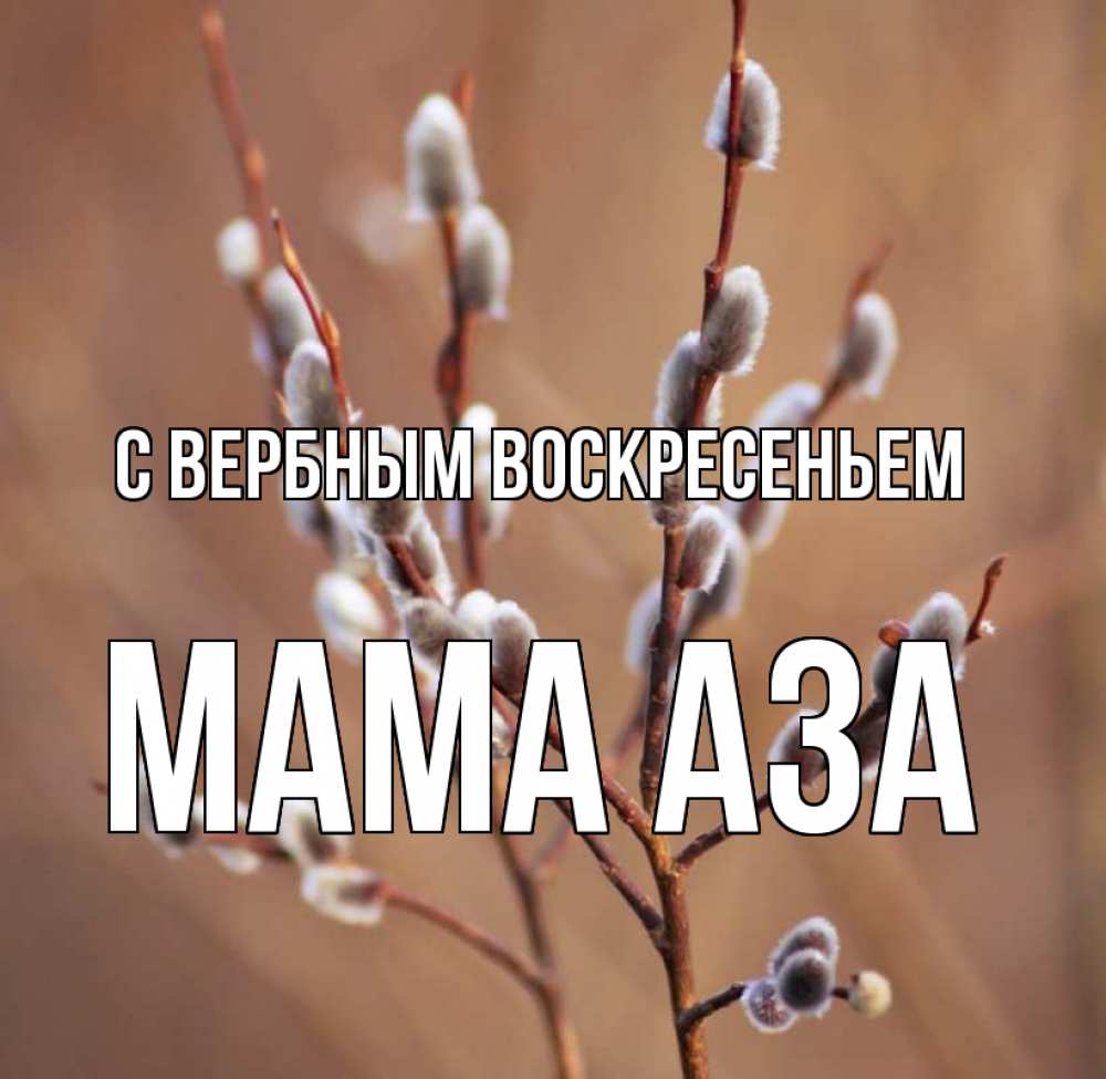 Открытка на каждый день с именем, Мама-Аза С вербным воскресеньем верба Прикольная открытка с пожеланием онлайн скачать бесплатно 