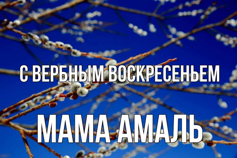 Открытка на каждый день с именем, Мама-Амаль С вербным воскресеньем верба Прикольная открытка с пожеланием онлайн скачать бесплатно 