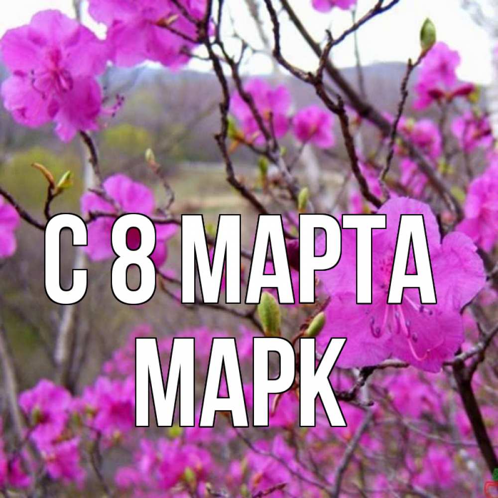Открытка на каждый день с именем, Марк С 8 марта международный женский день Прикольная открытка с пожеланием онлайн скачать бесплатно 