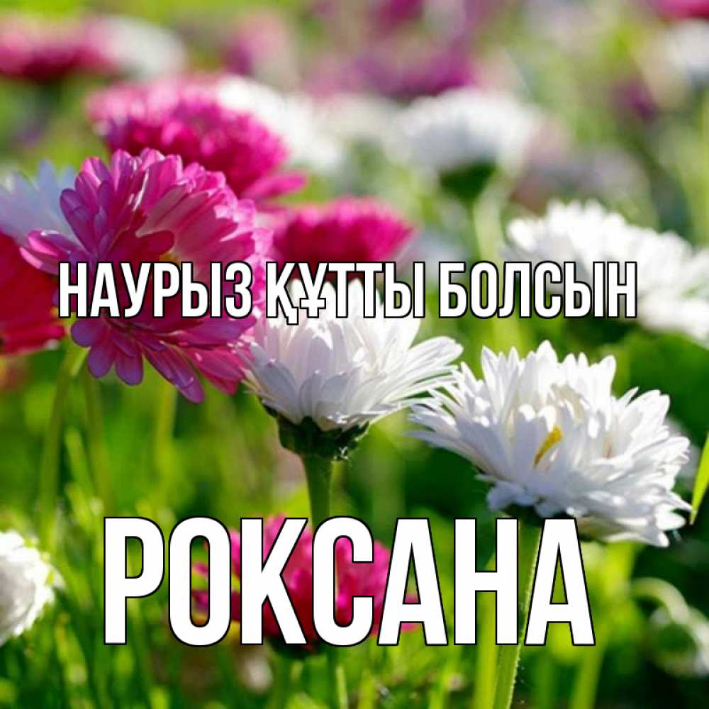 Открытка на каждый день с именем, Роксана Наурыз құтты болсын наурыз Прикольная открытка с пожеланием онлайн скачать бесплатно 