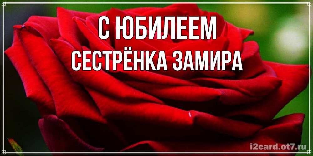 Открытка на каждый день с именем, Сестрёнка-Замира С юбилеем розочка очень красивая Прикольная открытка с пожеланием онлайн скачать бесплатно 
