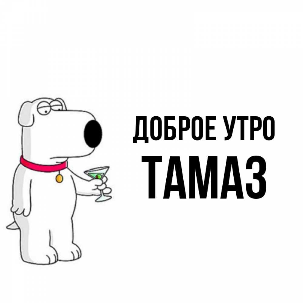 Открытка на каждый день с именем, Тамаз Доброе утро герои мультфильмов белый пес Прикольная открытка с пожеланием онлайн скачать бесплатно 