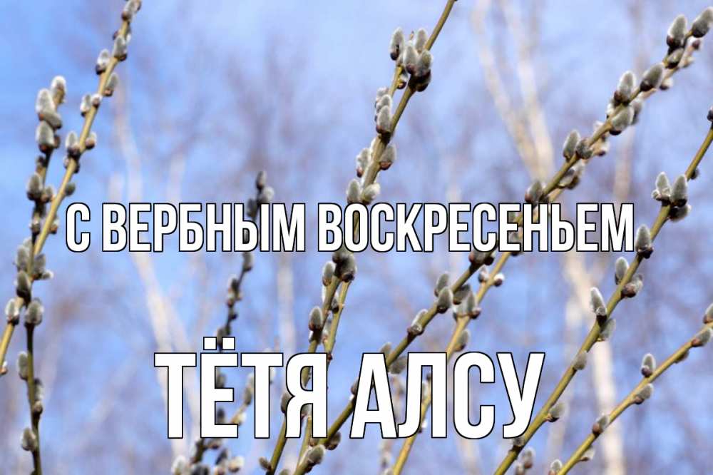 Открытка на каждый день с именем, Тётя-Алсу С вербным воскресеньем верба Прикольная открытка с пожеланием онлайн скачать бесплатно 