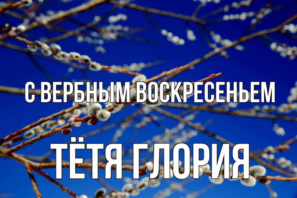Открытка на каждый день с именем, Тётя-Глория С вербным воскресеньем верба Прикольная открытка с пожеланием онлайн скачать бесплатно 