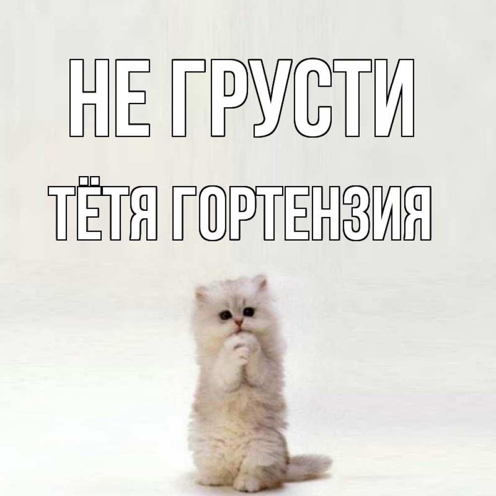 Открытка на каждый день с именем, Тётя-Гортензия Не грусти грустный кот Прикольная открытка с пожеланием онлайн скачать бесплатно 